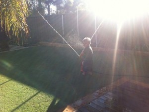 Gardens & Reticulation